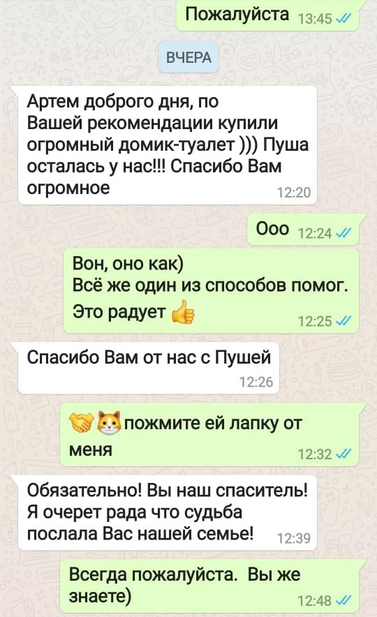 Отзыв из WhatsApp