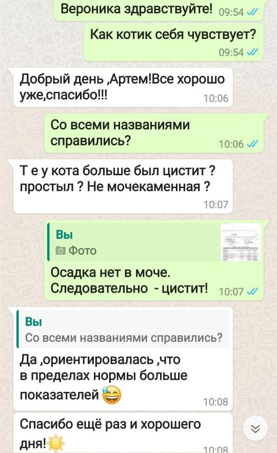 Отзыв из WhatsApp