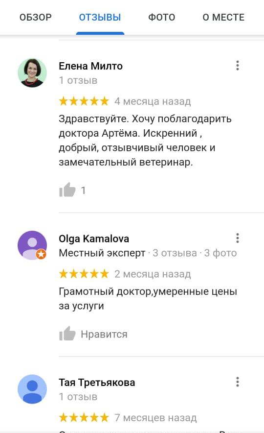 Отзыв с Интернета