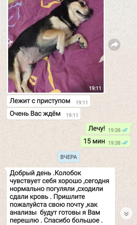 Отзыв из WhatsApp