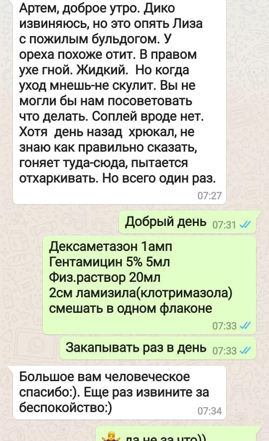 Отзыв из WhatsApp