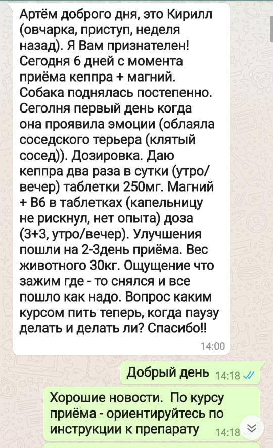 Отзыв из WhatsApp