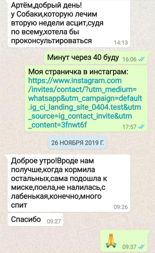 Отзыв из WhatsApp